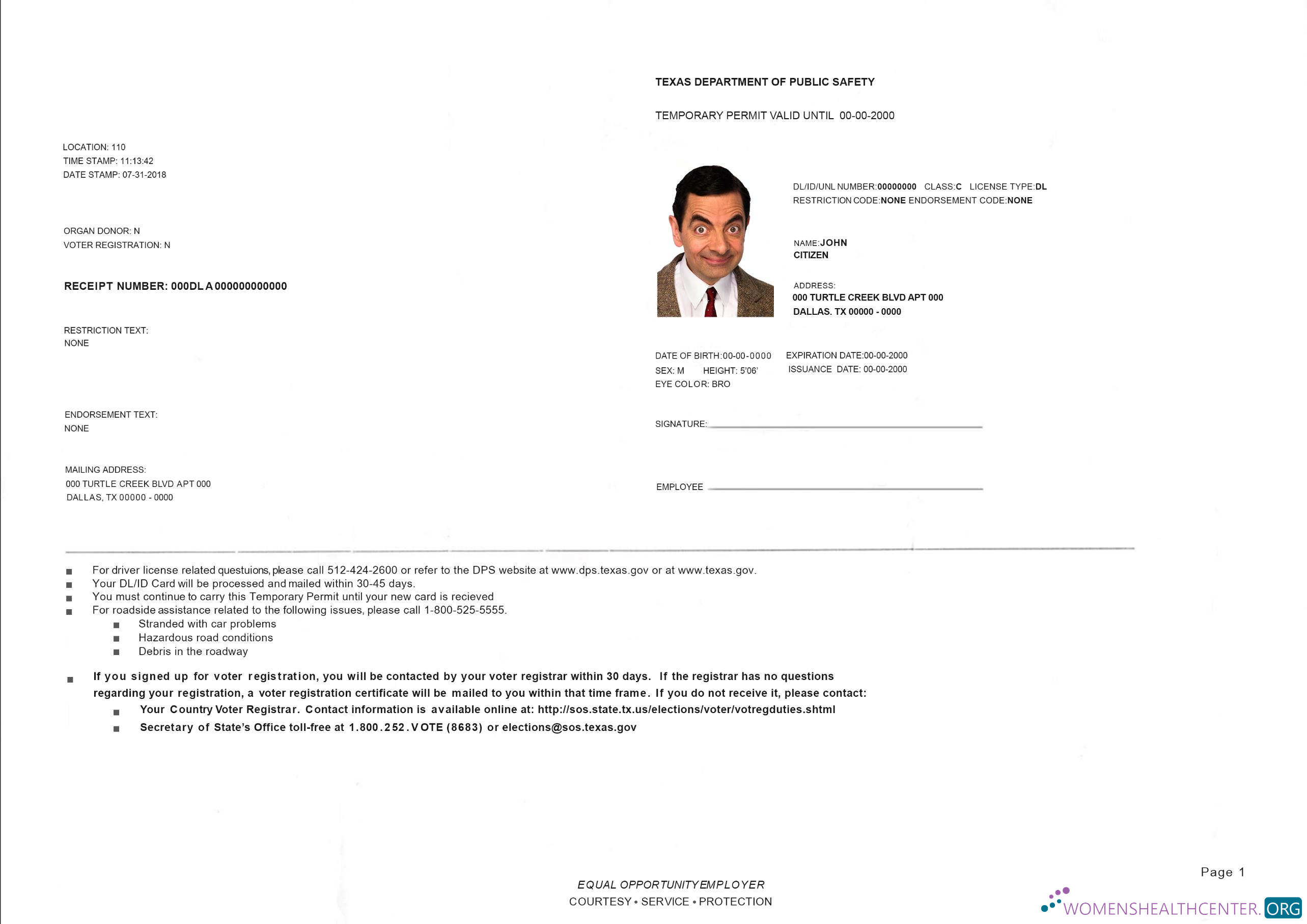 download USA Texas temporary driving permit